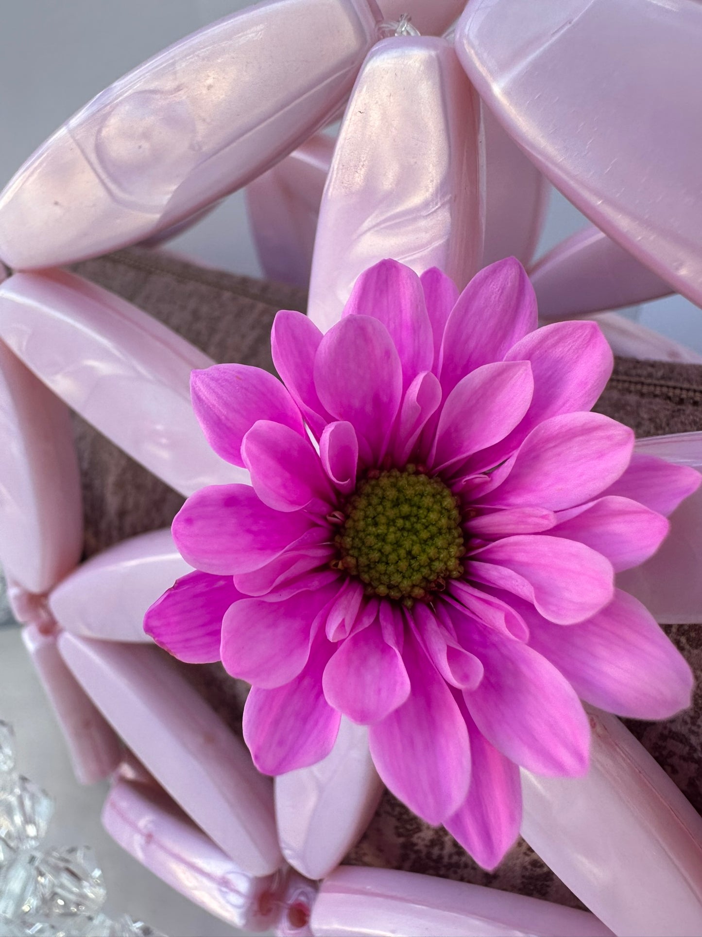 Boso margarita rosa